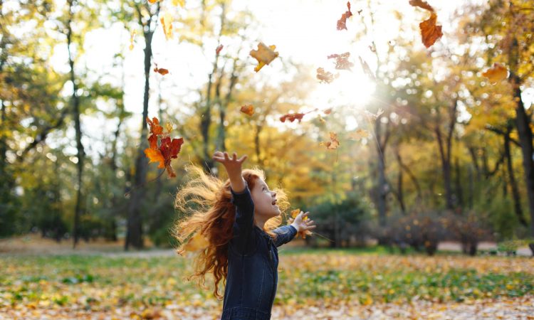 Jesenska prehrana i vitamin D